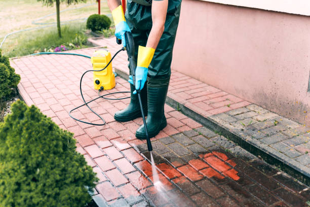 Best Fence Cleaning  in Royal Palm Estates, FL