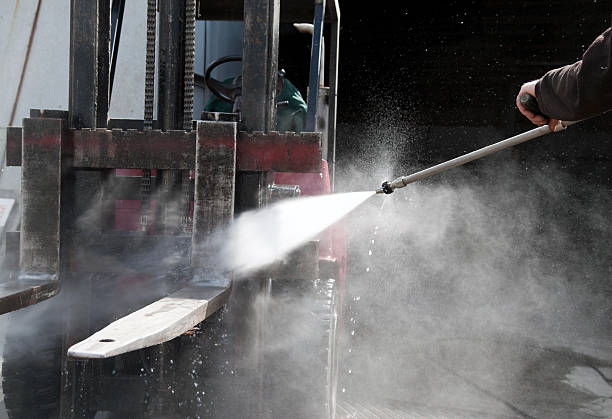 Best Soft Washing  in Royal Palm Estates, FL