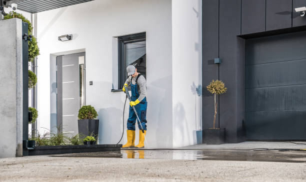 Best Graffiti Removal  in Royal Palm Estates, FL